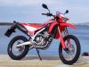 HONDA  CRF 300L ABS (2021-25)