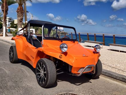 VINTAGE BUGGY MANUAL (2024)